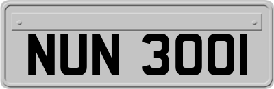 NUN3001