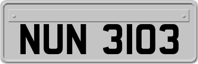 NUN3103