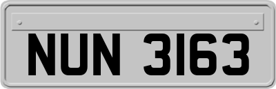 NUN3163