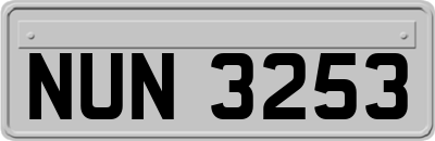 NUN3253