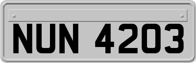 NUN4203