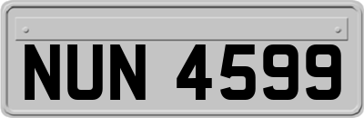 NUN4599