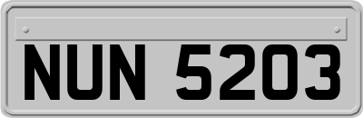 NUN5203