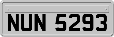 NUN5293