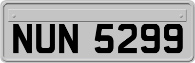 NUN5299