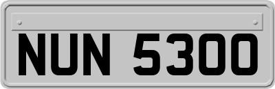 NUN5300