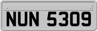 NUN5309