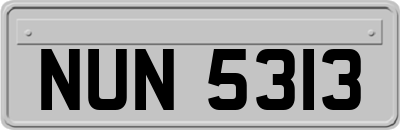 NUN5313