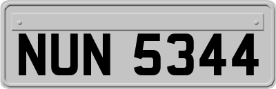 NUN5344