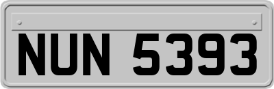 NUN5393