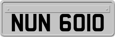 NUN6010