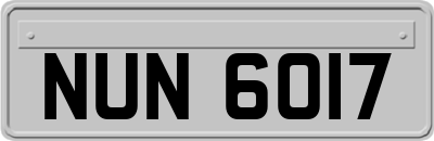 NUN6017