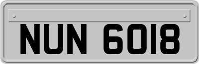 NUN6018