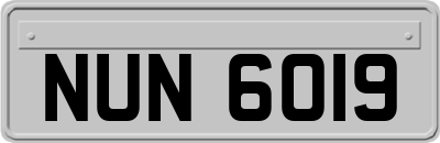 NUN6019