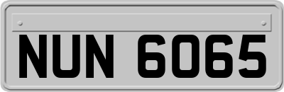 NUN6065