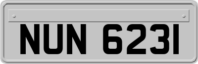 NUN6231