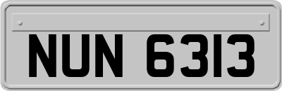 NUN6313