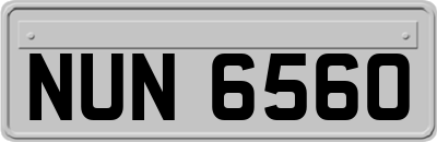 NUN6560