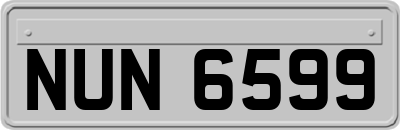 NUN6599