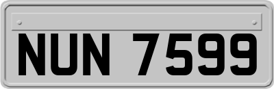 NUN7599