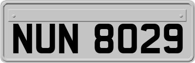 NUN8029