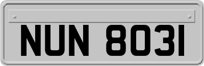 NUN8031