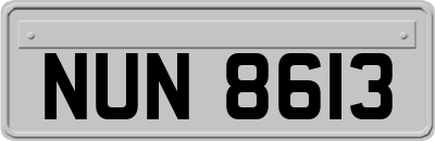 NUN8613