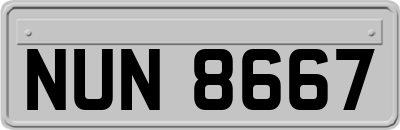 NUN8667