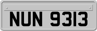 NUN9313
