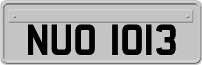 NUO1013