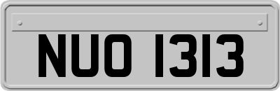NUO1313