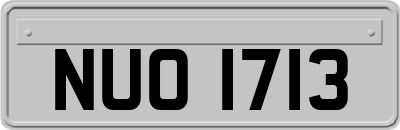 NUO1713