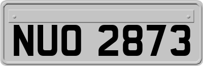 NUO2873