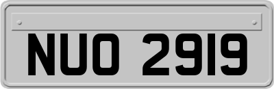 NUO2919