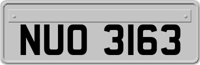 NUO3163