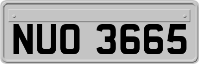NUO3665