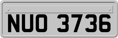 NUO3736