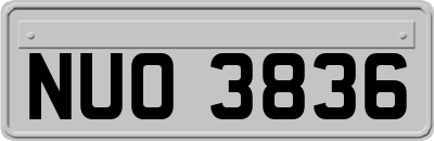 NUO3836