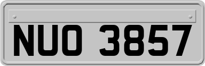 NUO3857