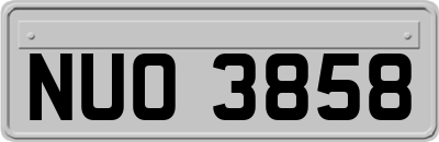 NUO3858