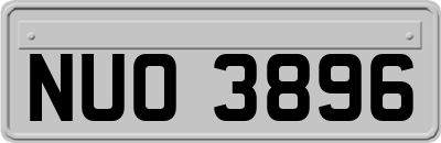 NUO3896