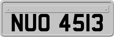 NUO4513