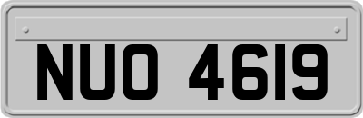 NUO4619