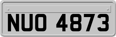 NUO4873