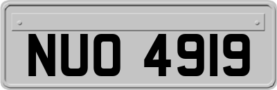 NUO4919