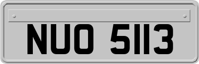 NUO5113
