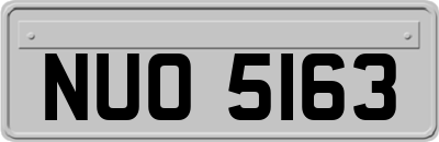 NUO5163