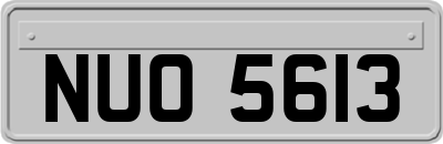 NUO5613