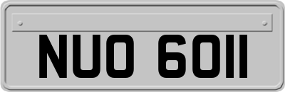 NUO6011