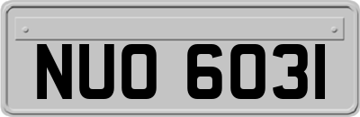 NUO6031